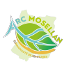 Logo-CCAM-Web